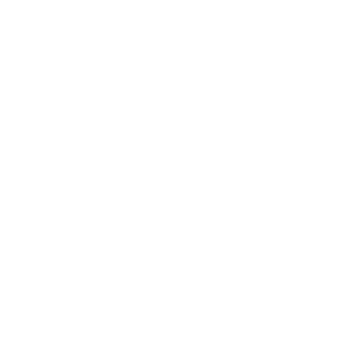 Brand Identity & Menu Direction